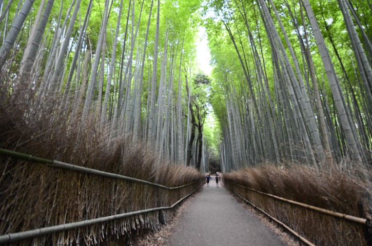 Arashiyama Bamboo Grove