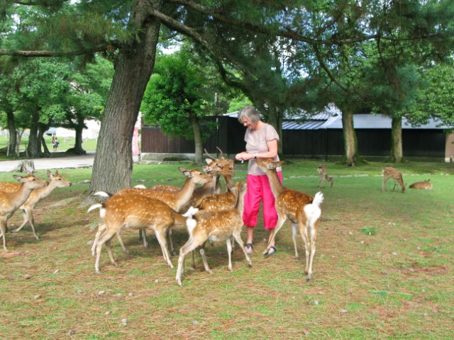 Nara Park