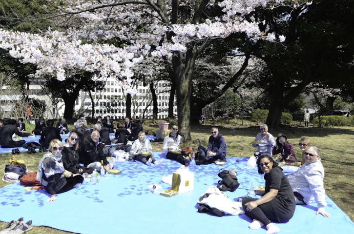 Afternoon under the blossoms