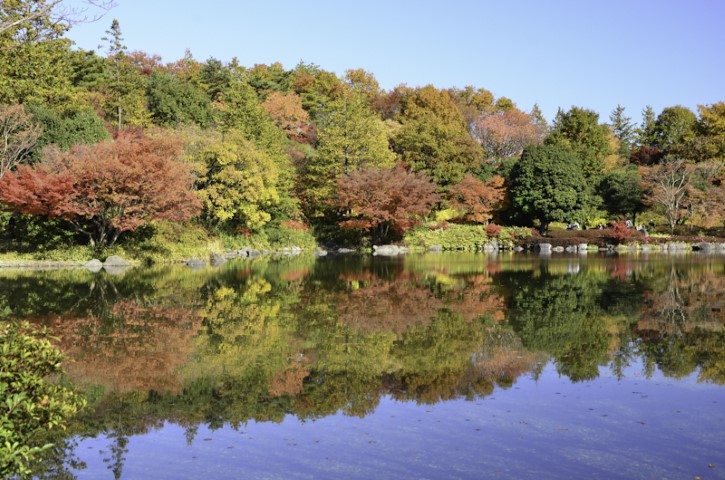 Autumn views in Japan