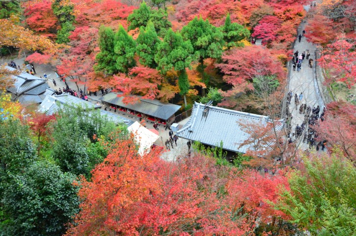 Kiyomizudera in autumn, Kyoto