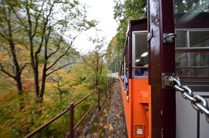 Train Ride through gorge in Japan during the fall