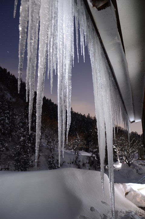 Icicles at snow monkey park in Japan