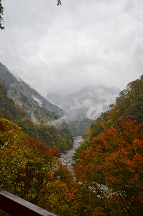 View from train going up Kurobe Gorge