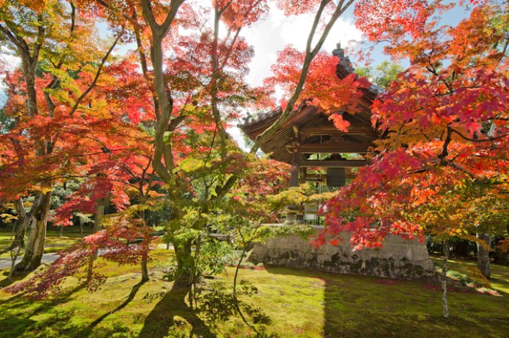 The Crimson Leaf Autumn Tour in Japan