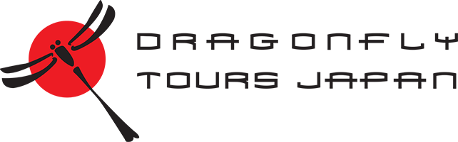 dragonfly tours logo